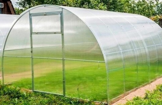 теплицы в минске